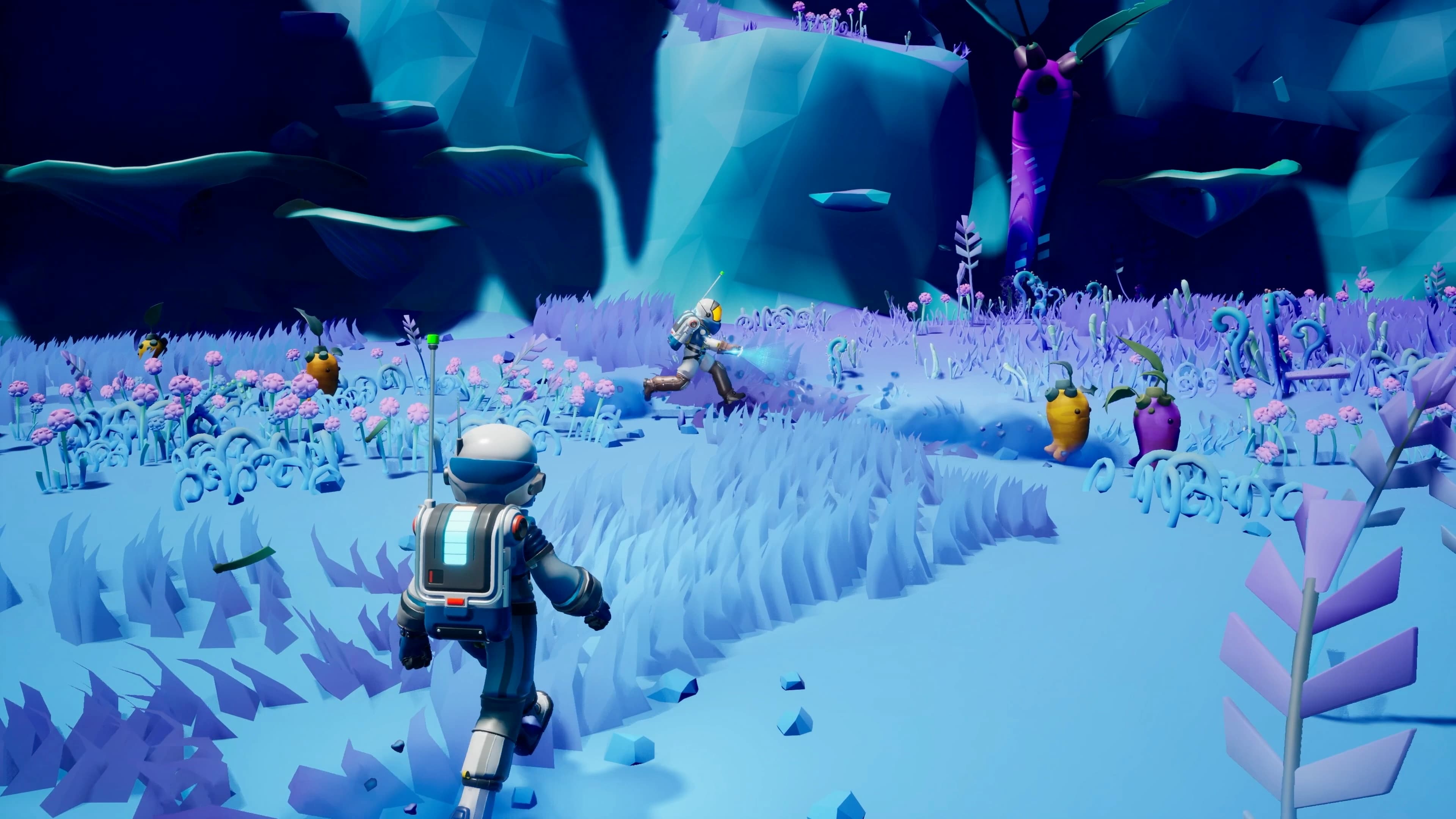 STARSEEKER Astroneer Expeditions